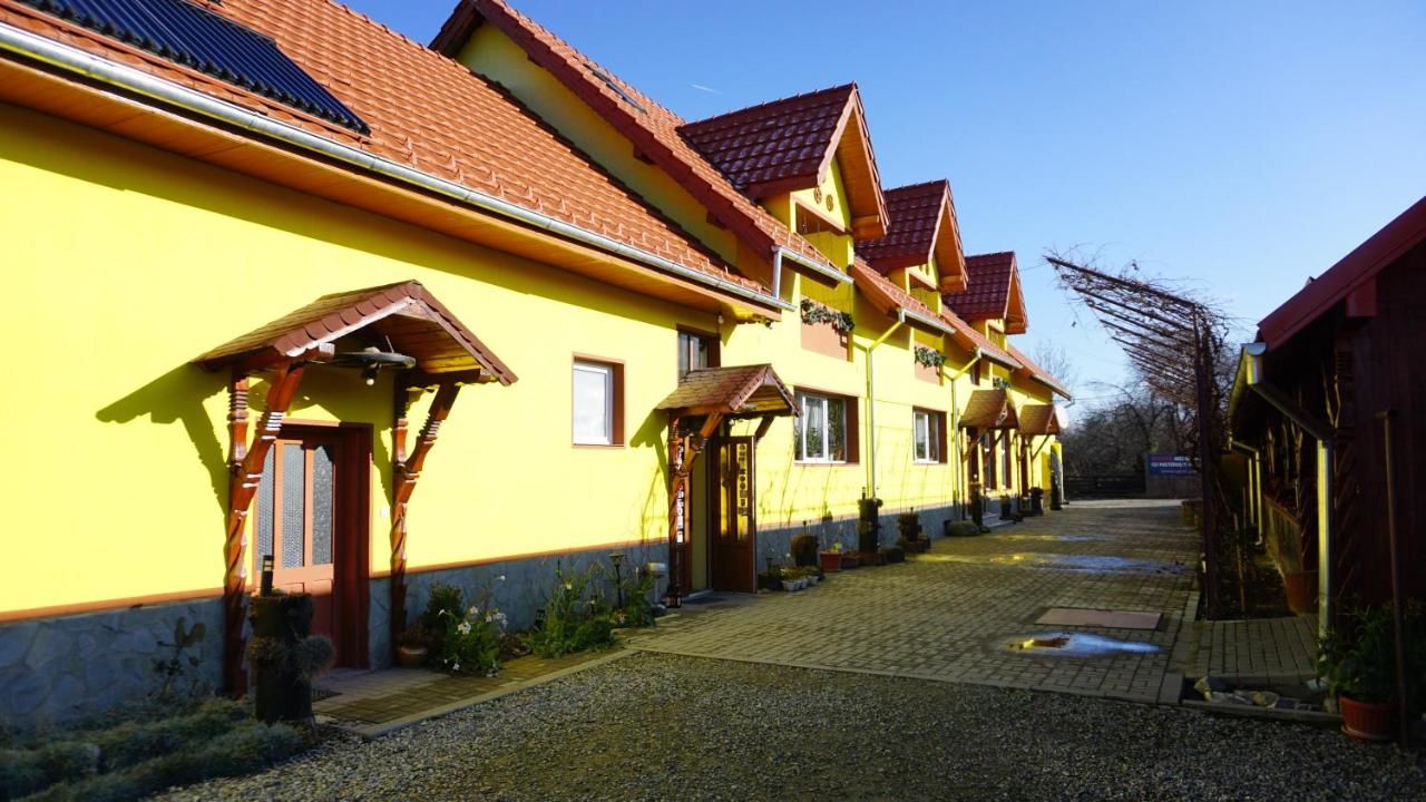 Отель Casa Dușe Кырцишоара-6